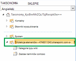 Grupa zawierająca wszystkie zestawy terminów w zbiorze witryn