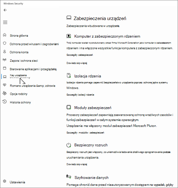 Zrzut ekranu przedstawiający ekran zabezpieczeń urządzenia w aplikacji Zabezpieczenia Windows.