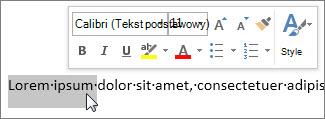Minipasek narzędzi z zaznaczonym tekstem