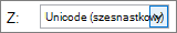 Typ znaku Unicode