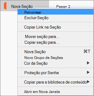 Menu de contexto de seção com Renomear seção realçado.