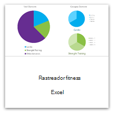 Selecione essa opção para obter o modelo de Acompanhamento de Condicionamento Físico.