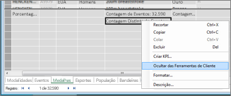 Ocultar um campo no PowerPivot