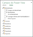 Campos e colunas ocultos no Power View