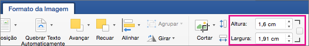 Guia Formato da imagem com as caixas Altura e Largura em destaque.