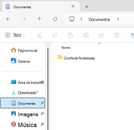 Pasta Documentos mostrando a subpasta Bloco de Anotações do OneNote.