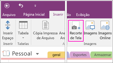 Captura de tela do botão Inserir Recorte de Tela no OneNote 2016