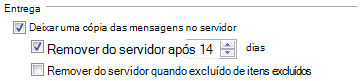 Delivery section on the Advanced tab of the Internet E-mail Settings dialog box