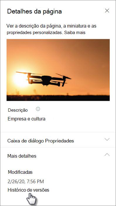 Captura de tela do link histórico da versão em detalhes da página