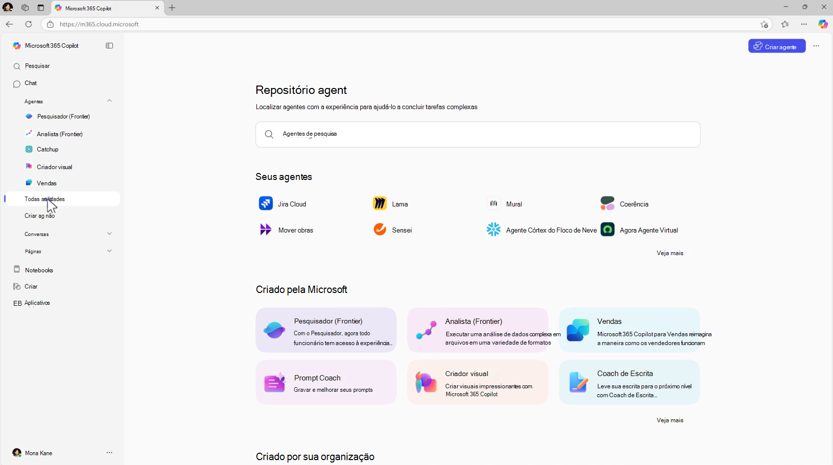 Captura de tela do repositório de agentes