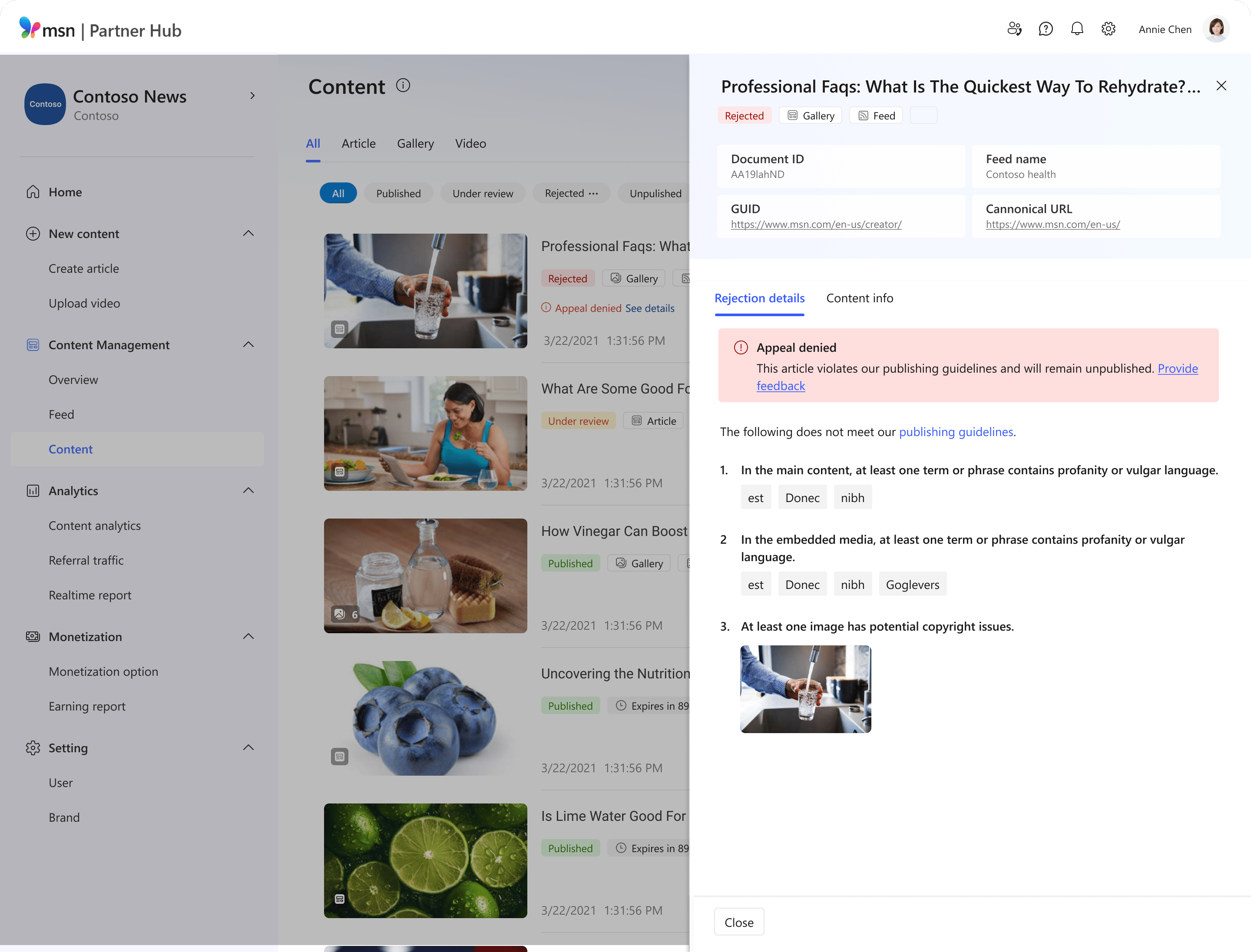 Uma visão detalhada do conteúdo que teve o seu recurso negado. Existe um botão para fornecer feedback para partilhar detalhes se não concordar com a decisão