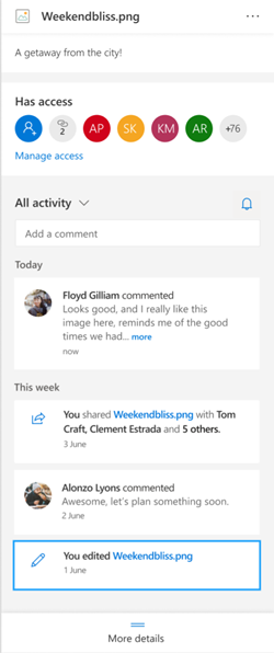 O painel de detalhes de um ficheiro do OneDrive.