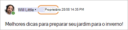Captura de tela mostrando os selos de proprietário da comunidade no Teams (gratuito).