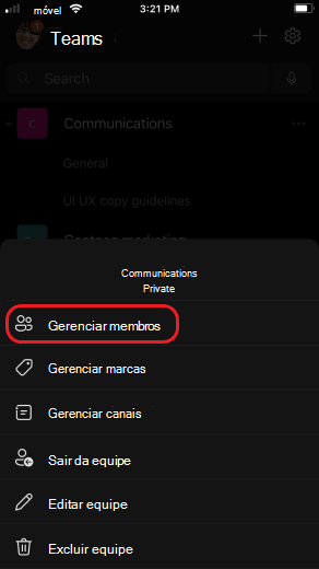 Gerenciar membros da equipe no iOS