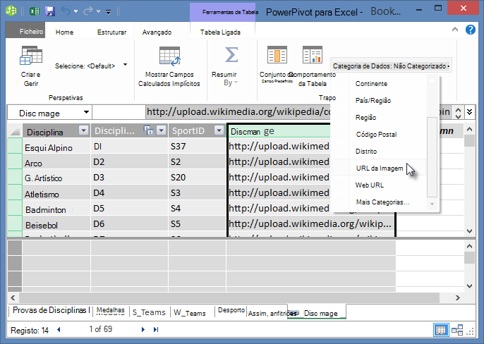 Definir a Categoria de Dados no PowerPivot