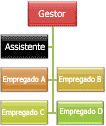 Organograma com Esquema de dois pendentes