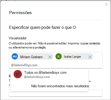 Captura de ecrã a mostrar a caixa de diálogo Permissões, onde um utilizador está a especificar permissões para um domínio inteiro.
