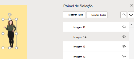 Mostra o Painel de Seleção