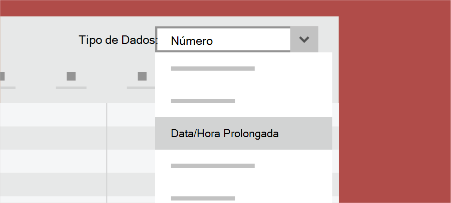 Mostra o tipo de dados do Access