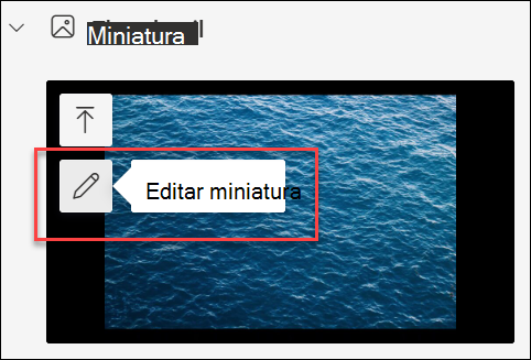 captura de ecrã da opção Editar miniatura