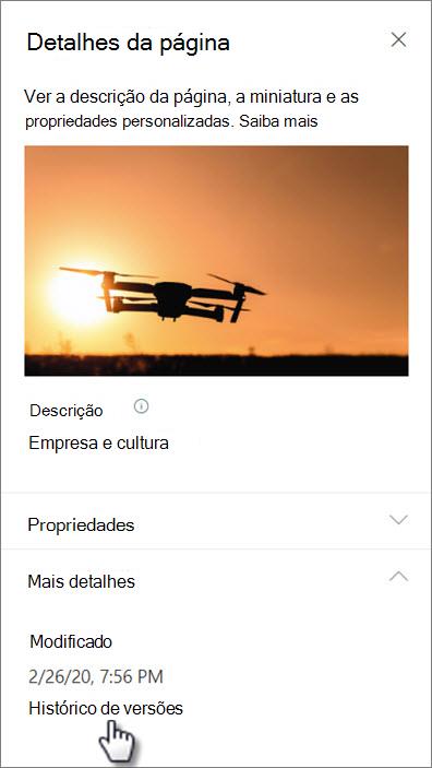 Captura de ecrã da ligação do histórico de versões em detalhes da página