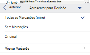 Apresentar para Revisão