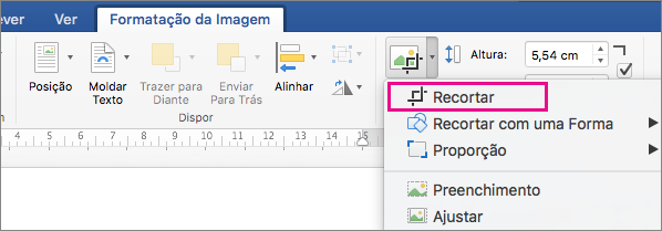 No separador Formatação da Imagem, a opção Recortar está realçada.