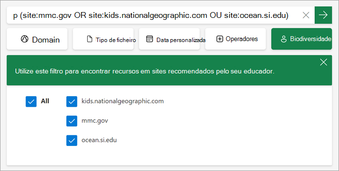 captura de ecrã de como o filtro personalizado é apresentado aos estudantes quando está ativado.