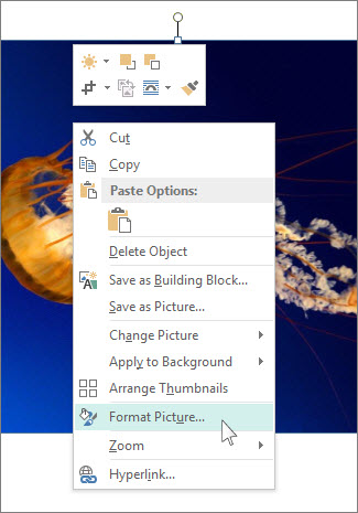 Captura de ecrã das opções de Formatar Imagem no Publisher.