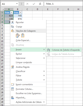 Inserindo uma coluna de tabela