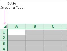 Botão Selecionar Tudo