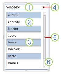 Captura de tela dos elementos de segmentação de tabela dinâmica.