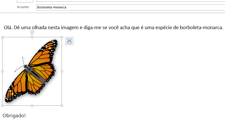 Agora a imagem está na mensagem.