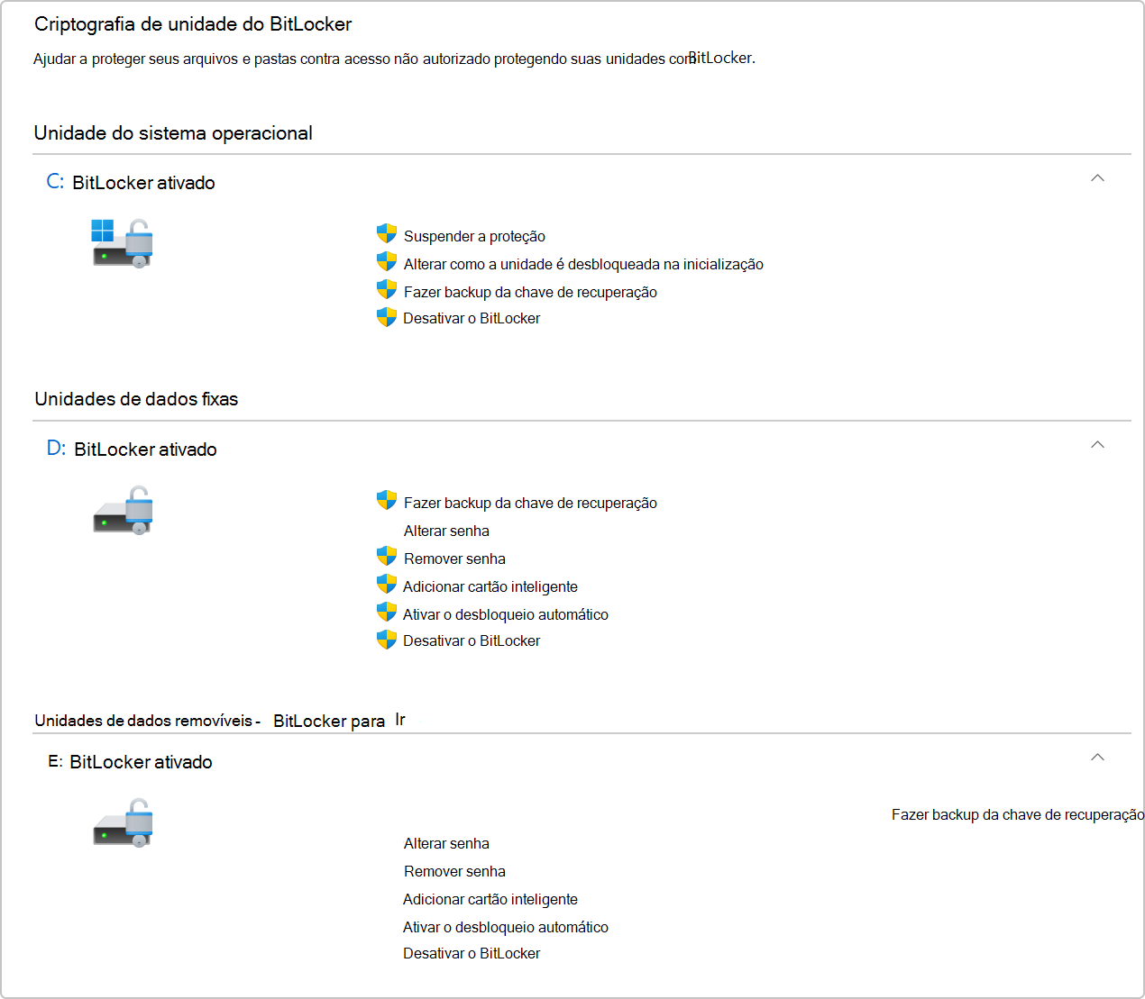 Captura de ecrã a mostrar a Encriptação de Unidade BitLocker no Painel de Controle.