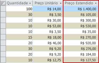 Um campo calculado, mostrado no modo de exibição de Folha de Dados.