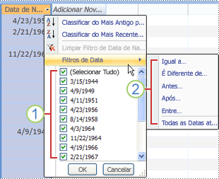 Filtros de data comuns