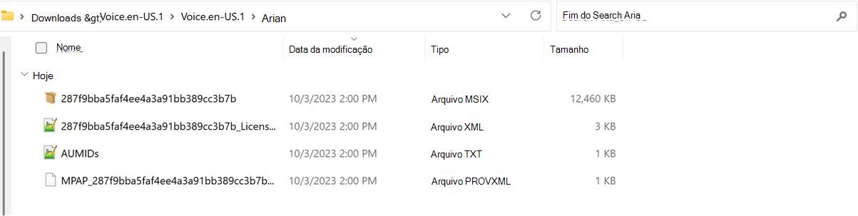 Captura de ecrã a mostrar a pasta extraída do pacote de Voz.