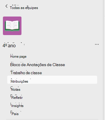 Captura de tela das atribuições.