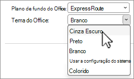 Captura de ecrã a mostrar as seleções de temas do Office.