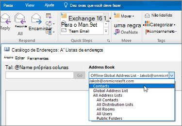 Depois de importar seus contatos do Gmail, você poderá encontrá-los no Office 365 selecionando o Catálogo de Endereços