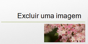 A imagem selecionada foi excluída.