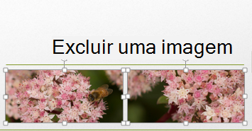 Ao manter pressionada a tecla Control, você pode selecionar mais de uma imagem.