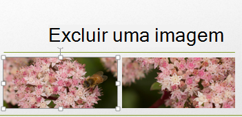 Quando você seleciona uma imagem, ela fica rodeada por alças.
