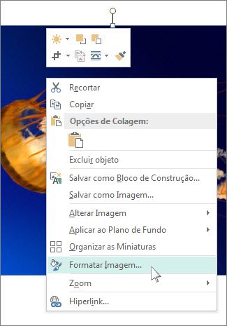 Captura de tela das opções de Formatar Imagem no Publisher.