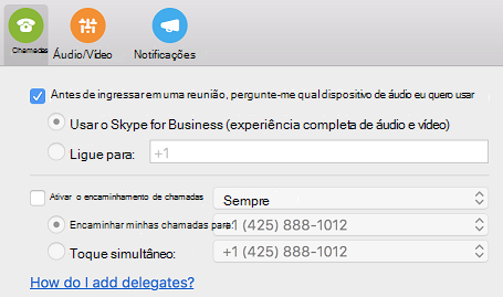 Como fazer para adicionar representantes? link de ajuda na página Chamadas da caixa de diálogo Preferências