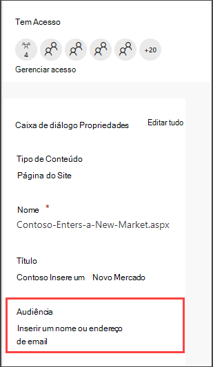 Painel de detalhes de páginas com opção para inserir uma audiência