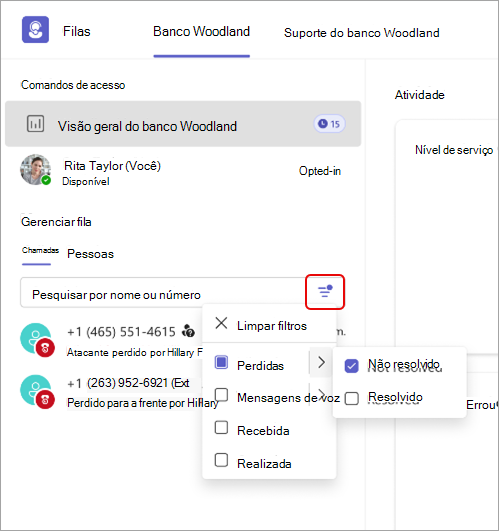 Captura de ecrã a mostrar os detalhes do filtro Filas chamadas na aplicação.