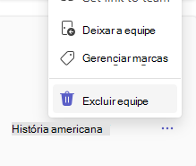 Excluir equipe