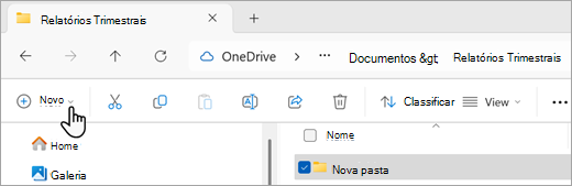 Captura de tela mostrando como você pode criar uma nova pasta usando Explorador de Arquivos.