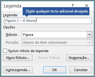 Digite qualquer texto personalizado opcional para suas legendas no campo de rótulo.